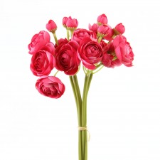 11"GARDEN RANUNCULUS X6