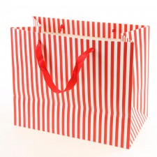 10"STRIPED PAPER GIFT BAG