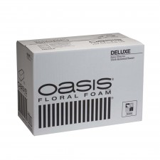 DELUXE OASIS CS/48