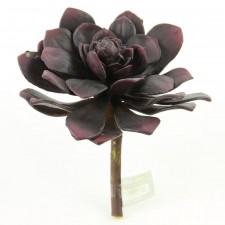 LG.ROSETTE SUCCULENT STEM