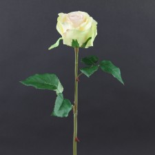 20.87" ROSE