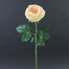 22.83" ROSE