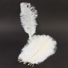 13-15"OSTRICH FEATHER 12/BG