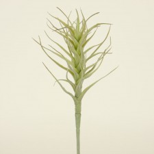 14" AGAVE W/FLOCKING