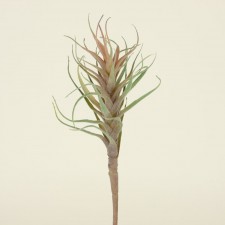 14" AGAVE W/FLOCKING