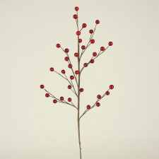 20" BERRY SPRAY X35 PT