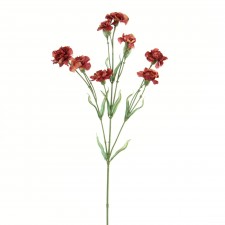 CARNATION RED B4