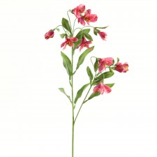 ALSTROMERIA X10 MAUVE B5