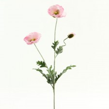 POPPY X3 PINK B4