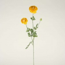 RANUNCULUS YELLOW