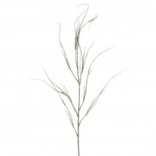 45"SCOTCH BLOOM SPRAY A25