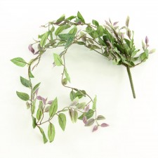 SMYLAX BUSH VINE PURPLE A4