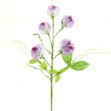 13.5" BEADED SWEET PEA PICK