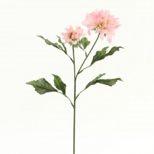 DAHLIA PINK B2