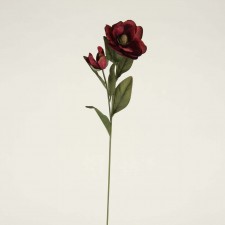 MAGNOLIA BURGUNDY