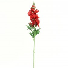 SNAPDRAGON RUBY B12
