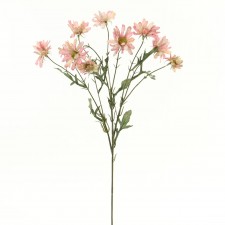 DAISY PINK B4