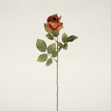 26" ECUADORIAN TEA ROSE SIENNA