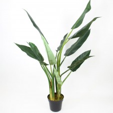 4.5' BIRD OF PARADISE TREE