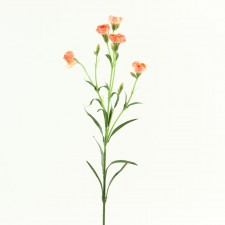 CARNATION SPRAY PEACH B4