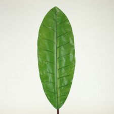 31" BANANA LEAF SM RED/GRN