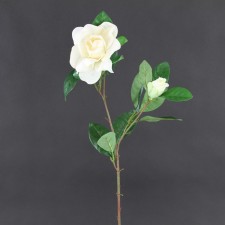 24" GARDENIA SPRAY X2