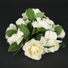 8" GARDENIA PICK 12PC/PKG