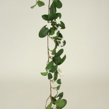 6' STEPHANOTIS GARLAND