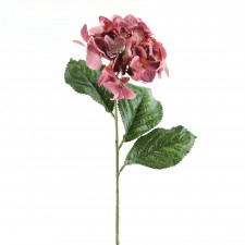 LG HYDRANGEA STEM A4 B2