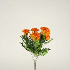 MARIGOLD BUSH X5 ORANGE