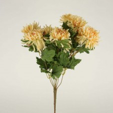 MIUM BUSH X9 IVORY
