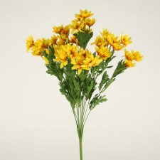 DAISY BUSH YELLOW