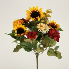 ASCENT FALL SUNFLOWER MX BUSH