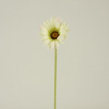 GERBERA DAISY SPRAY X1
