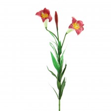 PLANTERS EASTER LILY A4 B2