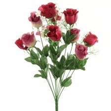ROSE BUS BUSH X11  A5