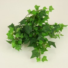 12"MINI IVY BUSH W/231LVS GRN