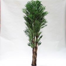 7' PHOENIX PALM TREE