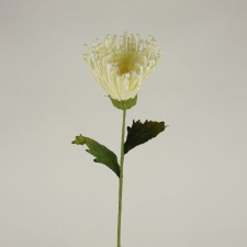 LG FUJI MUM STEM CREAM