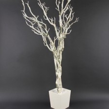 48" BIRCH TREE W/POT