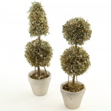 MINI TABLE TOPIARY GLD A25