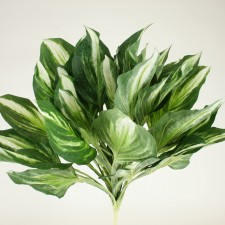 27"LG HOSTA BUSH X40 CRM/GRN