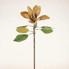 30" MAGNOLIA STEM BROWN