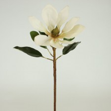 30" MAGNOLIA STEM CREAM