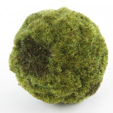 4" WOODLAND MOSS BALL