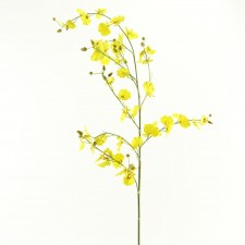 52"DANCING ORCHID STEM YELLOW