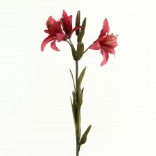 34"ASIATIC LILY SPRAY B11