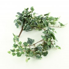 29"FRST KANGAROO IVY BUSH X12