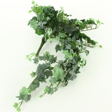 21"FRST MINI ENGLISH IVY BUSH