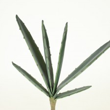15" AGAVE LEAF X6 GREEN